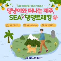 댕냥이와 떠는 제주 SEA-댕댕트레킹