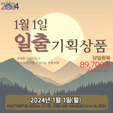 1월 1일 일출 기획 상품