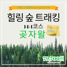 7월 13일 힐링숲트래킹